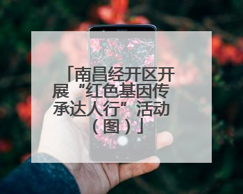 南昌经开区开展“红色基因传承达人行”活动（图）